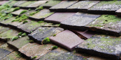 Turville Heath roof repair costs